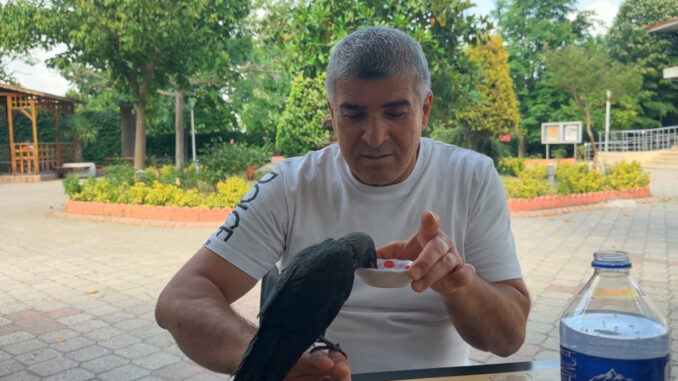 istanbulda-ac-kargayi-elleriyle-besledi-QIKwx8Ol.jpg