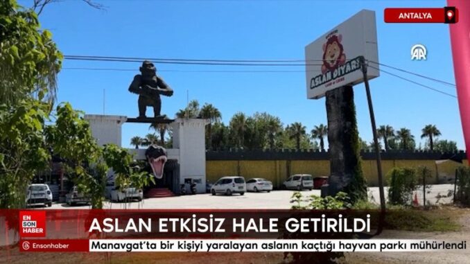 manavgatta-bir-kisiyi-yaralayan-aslanin-kactigi-hayvan-parki-muhurlendi-IaubOUsF.jpg