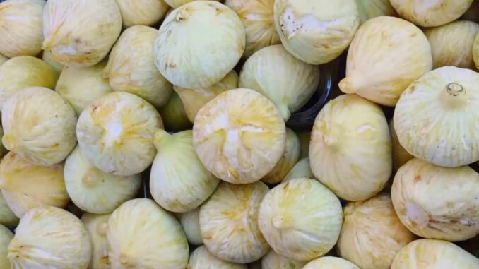 sezonun-beklenen-hasadi-bereketiyle-geldi-kilosu-200-tl-vKDb4Hm8.jpg